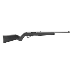 Ruger 10/22 Stainless